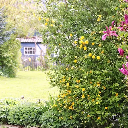 Bed & Breakfast Pre En Bulles Ohey
